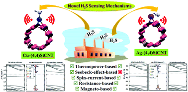 Graphical abstract: Novel H2S multifunctional sensing materials: Cu or Ag-decorated (4,4)SWSiC nanotubes