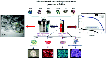 Graphical abstract: An efficient Cu2Zn1−xInxSn(S,Se)4 multicomponent photocathode via one-step hydrothermal approach for thin film solar cell