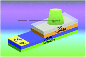 Graphical abstract: An all-inorganic CsPbBr3/GaN hetero-structure for a near UV to green band photodetector