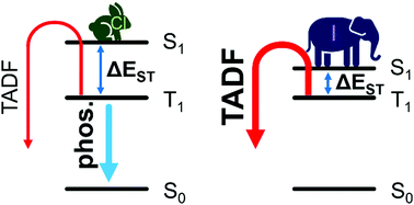 Graphical abstract: Enhancement of thermally activated delayed fluorescence properties by substitution of ancillary halogen in a multiple resonance-like diplatinum(ii) complex