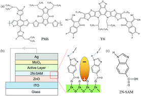 Graphical abstract: Hydrogen-bond-induced cathode engineering interface achieving high-efficiency organic solar cells