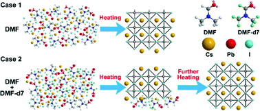 Graphical abstract: Deuterated N,N-dimethylformamide (DMF-d7) as an additive to enhance the CsPbI3 solar cell efficiency