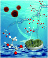 Graphical abstract: Nitrogen-doped biochar nanosheets facilitate charge separation of a Bi/Bi2O3 nanosphere with a Mott–Schottky heterojunction for efficient photocatalytic reforming of biomass