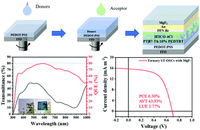 Graphical abstract: Efficient semi-transparent organic solar cells enabled by a quasi-heterojunction active layer structure