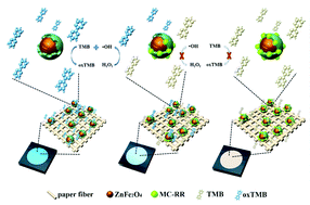 Graphical abstract: A ZnFe2O4-catalyzed segment imprinted polymer on a three-dimensional origami paper-based microfluidic chip for the detection of microcystin