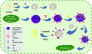 Graphical abstract: Ultra-sensitive detection of florfenicol by flow injection chemiluminescence immunoassay based on Nickel/Cobalt bimetallic metal–organic framework nanozymes