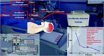 Graphical abstract: Point-of-care detection of sevoflurane anesthetics in exhaled breath using a miniature TOFMS for diagnosis of postoperative agitation symptoms in children