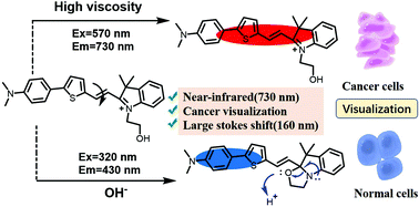 Graphical abstract: Dual-channel detection of viscosity and pH with a near-infrared fluorescent probe for cancer visualization