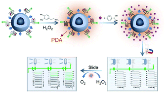 Graphical abstract: Aptazyme-induced cascade amplification integrated with a volumetric bar-chart chip for highly sensitive detection of aflatoxin B1 and adenosine triphosphate