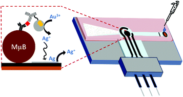 Graphical abstract: Plastic-based lateral flow immunoassay device for electrochemical detection of NT-proBNP