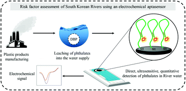 Graphical abstract: Simple ultrasensitive electrochemical detection of the DBP plasticizer for the risk assessment of South Korean river waters