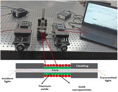 Graphical abstract: Selective detection of diethanolamine utilizing an LMR/LSPR-based optical fiber sensor
