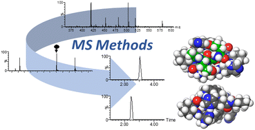 Graphical abstract: Pseudopeptidic host adaptation in peptide recognition unveiled by ion mobility mass spectrometry