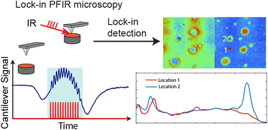 Graphical abstract: Lock-in amplifier based peak force infrared microscopy