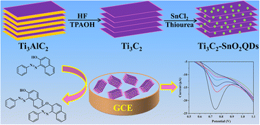 Graphical abstract: Multivalent SnO2 quantum dot-decorated Ti3C2 MXene for highly sensitive electrochemical detection of Sudan I in food