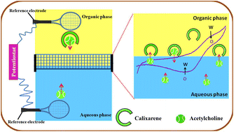 Graphical abstract: Disposable-micropipette tip supported electrified liquid–organogel interface as a platform for sensing acetylcholine