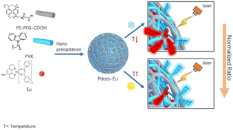 Graphical abstract: Ratiometric fluorescent semiconducting polymer dots for temperature sensing