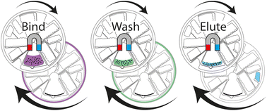 Graphical abstract: Nanobead handling on a centrifugal microfluidic LabDisk for automated extraction of cell-free circulating DNA with high recovery rates