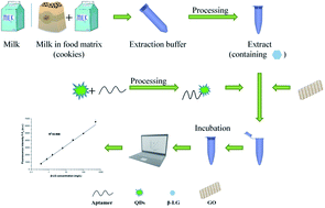 Graphical abstract: A fluorescence detection method for the determination of β-lactoglobulin in foods