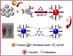 Graphical abstract: Plasmonic nanogels for naked-eye sensing of food adulterants