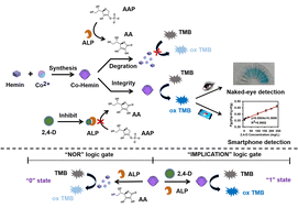 Graphical abstract: A novel metal–organic framework of Co-hemin for portable and visual colorimetric detection of 2,4-dichlorophenoxyacetic acid
