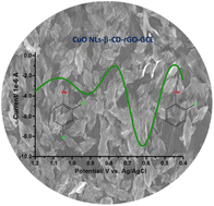 Graphical abstract: CuO nanoleaf and β-cyclodextrin functionalized reduced graphene oxide: a highly selective and sensitive electrochemical sensor for the simultaneous detection of 2-chlorophenol and 2, 4-dichlorophenol