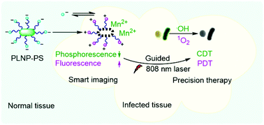 Graphical abstract: Bacterial microenvironment-responsive dual-channel smart imaging-guided on-demand self-regulated photodynamic/chemodynamic synergistic sterilization and wound healing