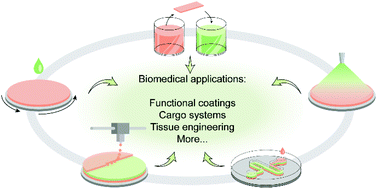 Graphical abstract: Layer-by-layer assembly methods and their biomedical applications