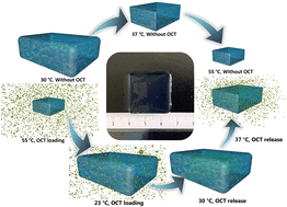Graphical abstract: Advanced antifouling and antibacterial hydrogels enabled by controlled thermo-responses of a biocompatible polymer composite