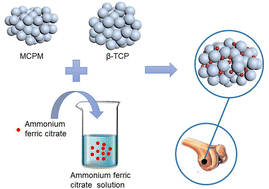 Graphical abstract: Preparation and characterizations of an injectable and biodegradable high-strength iron-bearing brushite cement for bone repair and vertebral augmentation applications