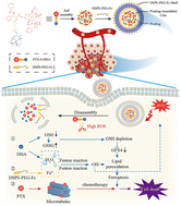 Graphical abstract: Self-assembled thioether-bridged paclitaxel-dihydroartemisinin prodrug for amplified antitumor efficacy-based cancer ferroptotic-chemotherapy