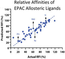 Graphical abstract: QSAR models reveal new EPAC-selective allosteric modulators