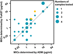 Graphical abstract: Fluorescent metabolic labeling-based quick antibiotic susceptibility test for anaerobic bacteria