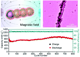 Graphical abstract: Engineering a ternary one-dimensional Fe2P@SnP0.94@MoS2 mesostructure through magnetic-field-induced self-assembly as a high-performance lithium-ion battery anode
