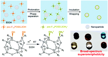 Graphical abstract: Strategy toward fluorinated polyhedral oligomeric silsesquioxane wrapping nanoparticles for superomniphobic surfaces