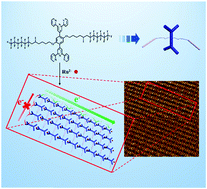 Graphical abstract: An alternating conduction–insulation “molecular fence” model from fluorinated metallopolymers