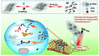 Graphical abstract: Tumor microenvironment-responsive S-NSs-TPZ-ICG intelligent nanoplatforms for synergistically enhanced tumor multimodal therapy