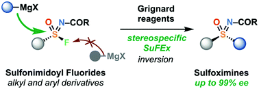 Graphical abstract: Stereospecific reaction of sulfonimidoyl fluorides with Grignard reagents for the synthesis of enantioenriched sulfoximines