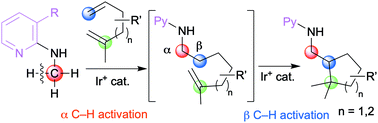 Graphical abstract: Ir-Catalyzed cyclization of α,ω-dienes with an N-methyl group via two C–H activation steps