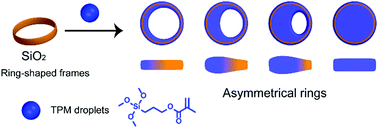 Graphical abstract: Asymmetrical ring-shaped colloidal particles for self-assembly and superhydrophobic coatings