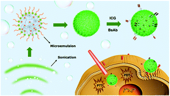 Graphical abstract: Confined microemulsion sono-polymerization of poly(ethylene glycol) nanoparticles for targeted delivery