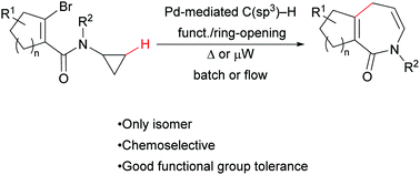 Graphical abstract: Access to hexahydroazepinone heterocycles via palladium-catalysed C(sp3)–H alkenylation/ring-opening of cyclopropanes