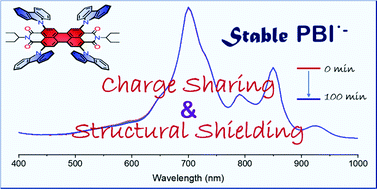 Graphical abstract: A persistent radical anion derived from a propeller-shaped perylene bisimide-carbazole pentad