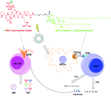 Graphical abstract: A self-adjuvanting anti-tumor nanoliposomal vaccine based on fluorine-substituted MUC1 glycopeptide