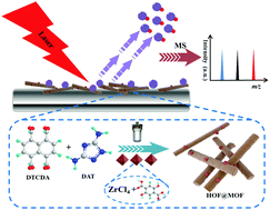 Graphical abstract: A metal-organic framework@hydrogen-bond framework as a matrix for MALDI-TOF-MS analysis of small molecules
