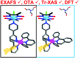 Graphical abstract: Deciphering the photophysical kinetics, electronic configurations and structural conformations of iridium–cobalt hydrogen evolution photocatalysts