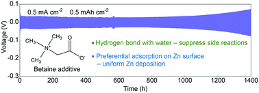 Graphical abstract: An amphoteric betaine electrolyte additive enabling a stable Zn metal anode for aqueous batteries