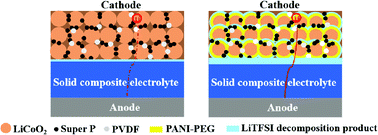 Graphical abstract: Ionic–electronic dual-conductive polymer modified LiCoO2 cathodes for solid lithium batteries