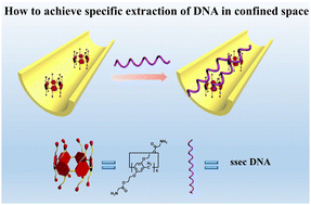 Graphical abstract: Specific extraction of nucleic acids employing pillar[6]arene-functionalized nanochannel platforms