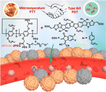 Graphical abstract: A nanoplatform for mild-temperature photothermal and type I & II photodynamic therapy in the NIR-II biowindow